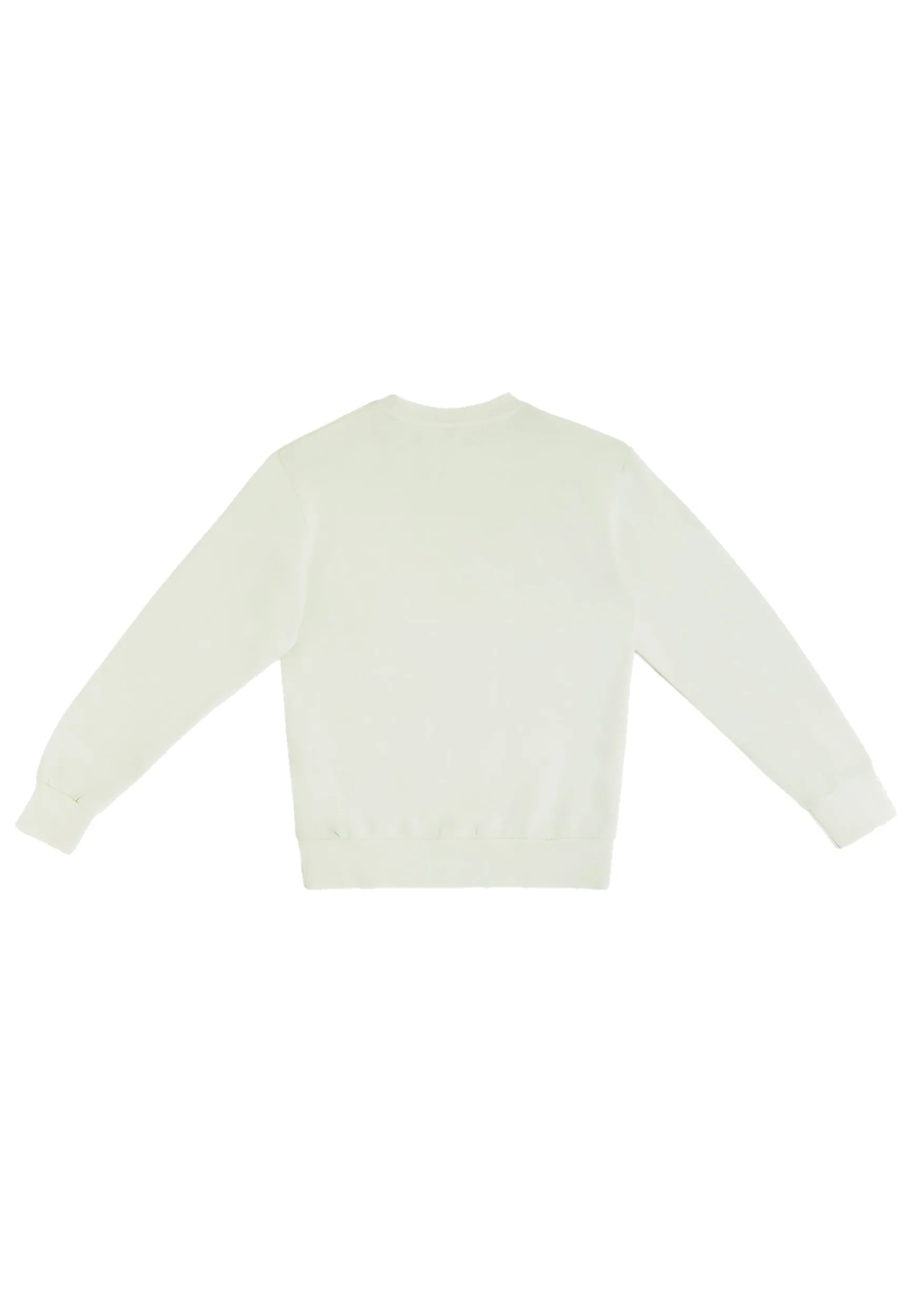 Premium Streetwear Women Sweatshirt - Pistachio