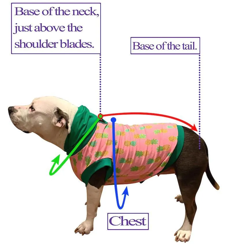 The FurResCrew in Pink - PAWjama with Mint Neck & Trim/Sleeves